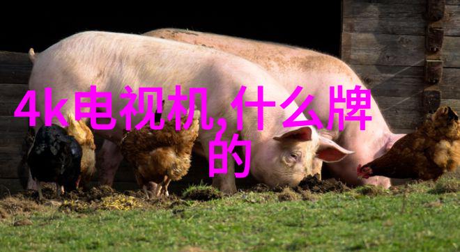 滚动轴承型号代号