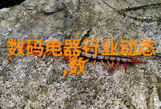 实木地板该保养有道