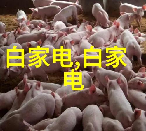 墙面用壁纸好还是乳胶漆好
