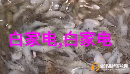 家居空间功能有不同 选购灯饰看看这里