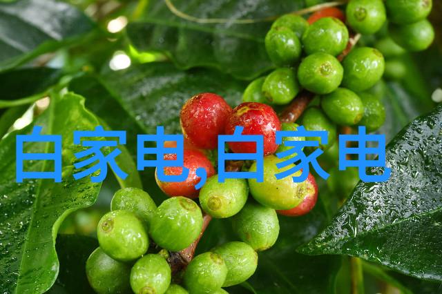 房屋装修合同 房屋装修注意事项